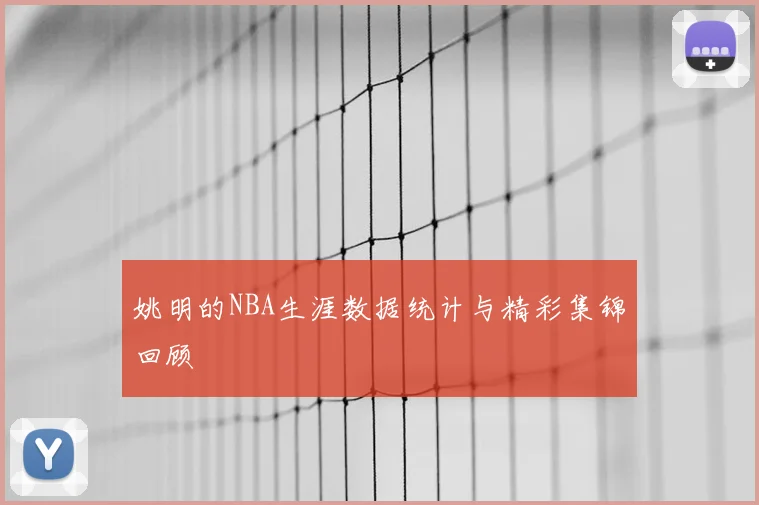 姚明的NBA生涯数据统计与精彩集锦回顾
