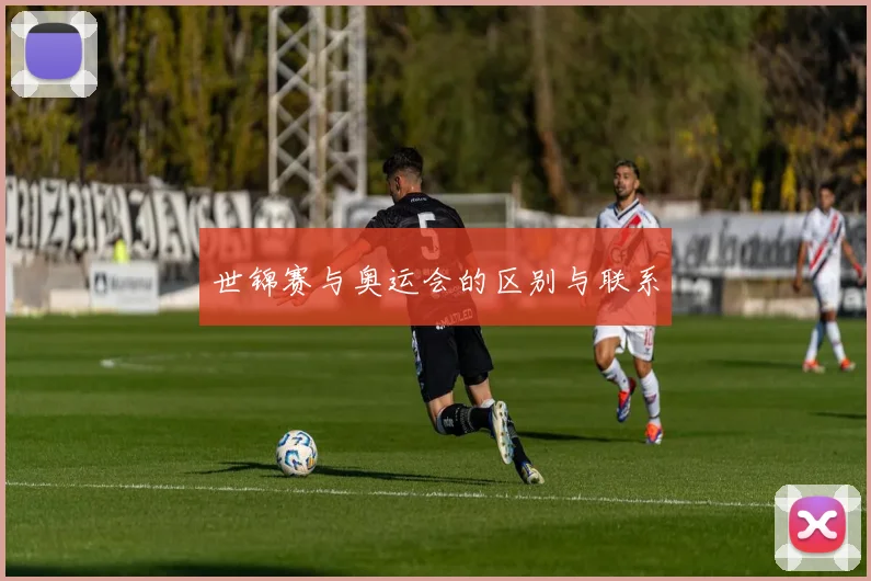 世锦赛与奥运会的区别与联系