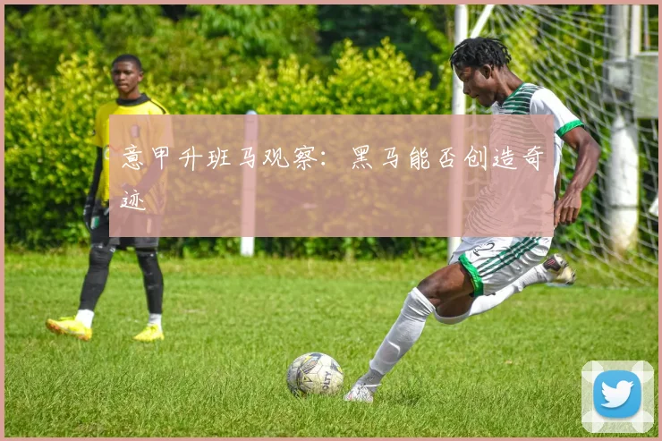 意甲升班马观察：黑马能否创造奇迹