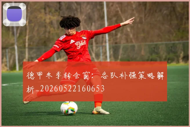 德甲冬季转会窗:各队补强策略解析_20260522160653
